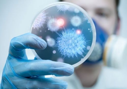 Ứng dụng công nghệ vi sinh trong nông nghiệp tại Việt Nam